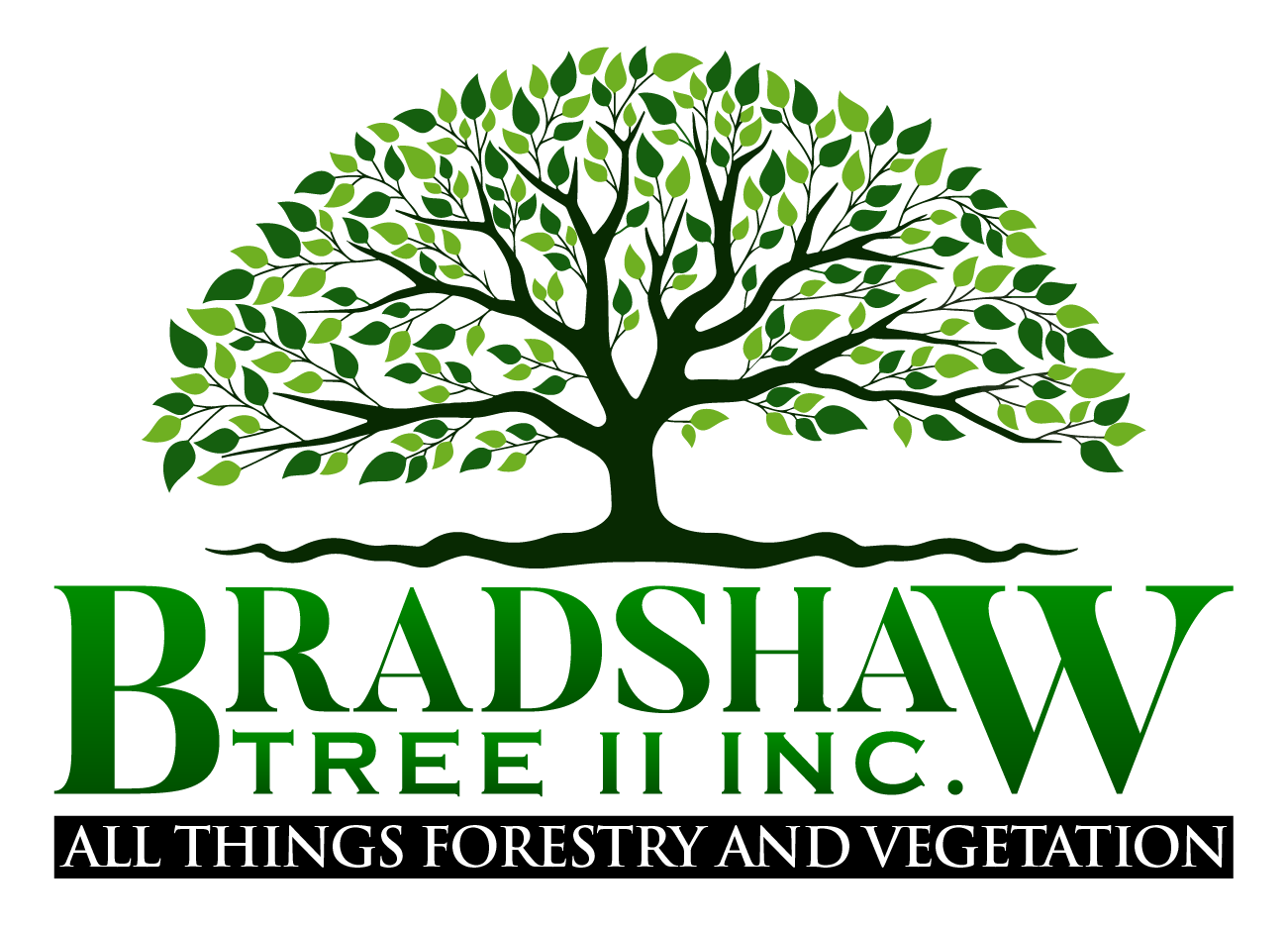 Bradshaw Tree Inc.